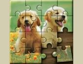 <b>Jigsaw Puzzle Fever</b>
